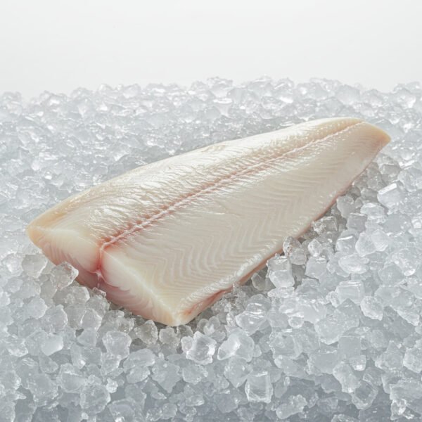Basa