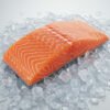 Salmon